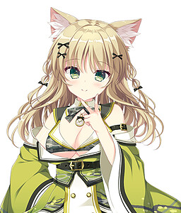 Neko-nin exHeart SPIN! | vndb