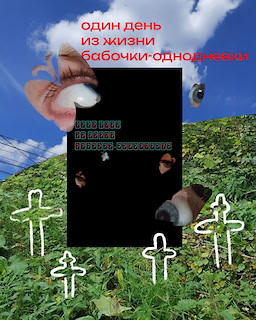 Один день из жизни бабочки-однодневки