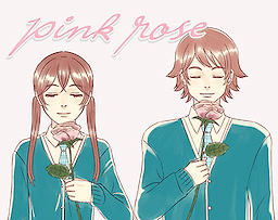 Pink Rose