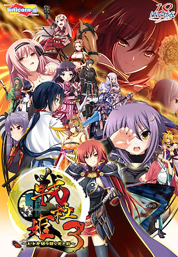 Sengoku Hime 3 ~Tenka o Kirisaku Hikari to Kage~
