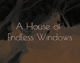 A House of Endless Windows
