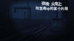 夜晚，火车上，她生命中的某个片段