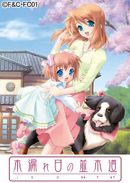 木漏れ日の並木道