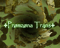 ࿇Prømzøna Trąns࿇