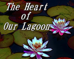 The Heart of Our Lagoon