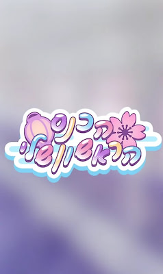 הכנס הראשון שלי