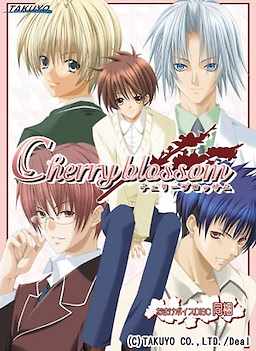 Cherryblossom