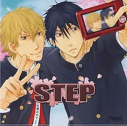 STEP - pkgfront