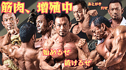 筋肉、増殖中