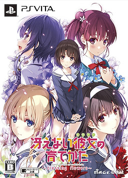 Saenai Heroine no Sodatekata -Blessing Flowers- Limited Edition - pkgfront