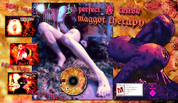 Perfect Tense: Maggot Therapy