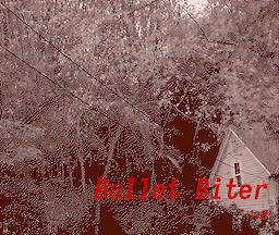 Bullet Biter