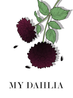 The Witches Saga: My Dahlia