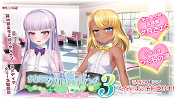 かなえてダブルウェディング3 三人いっしょでいたい場所