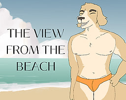 The View From The Beach