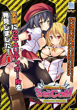Saiin Security SeiCoM - DVDPG - pkgfront