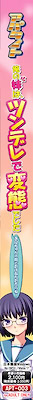 Ore no Imouto wa, Tsundere de Hentai Deshita ~Onii-chan no Mae de Dake nan Dakara ne!~ Package Edition - pkgside