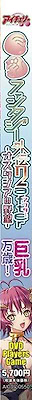 Kyonyuu Fantasy Gaiden 2 After -Osutashia no Yabou- DVDPG - pkgside