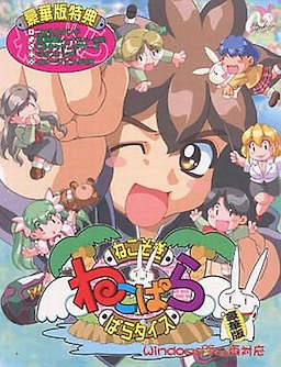 부킹 파라다이스