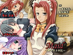 Maid ~Oshioki Nikki~