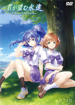 Kimi ga Nozomu Eien ~Enhanced Edition R~ - First Press Limited Edition - dig
