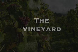 The Vineyard - dig