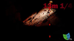 13m 1/4 - dig