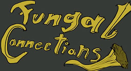 Fungal Connections