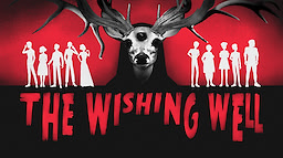 The Wishing Well