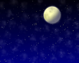 A Calm Night