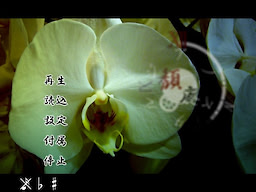 퇴폐 노스텔지어