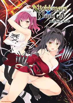 Nightmare x BlackCat ~Tsuioku no Beyond~