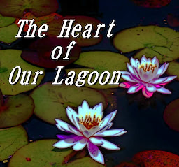The Heart of Our Lagoon