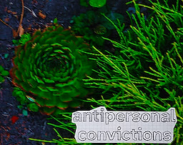 (anti)personal Convictions