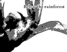 Below the Rainforest