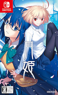 Tsukihime -A piece of blue glass moon- Regular Edition - pkgfront