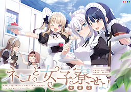 고양이와 여자기숙사(화해)하라!