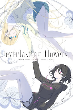 everlasting flowers