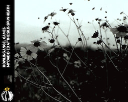 My Dad Died at the Silk-Spun Heath
