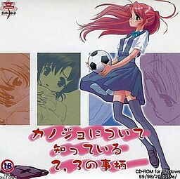 カノジョについて知っている2、3の事柄