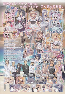 Aozora Stripe - Regular Edition - pkgback
