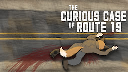 The Curious Case of Route 19
