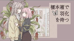 標本箱で羽化を待つ
