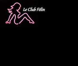 Club Félin - dig