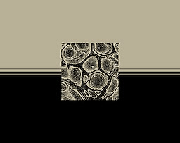 portrait on imagined horizon