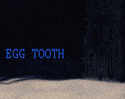EGG TOOTH