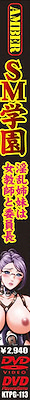 SM Gakuen ~Inran Shimai wa Onna Kyoushi to Iinchou~ DVDPG - pkgside
