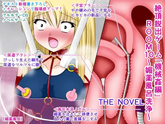 Zecchou Dasshutsu Game "Kikaikan Hen" ROOM 10 ~Biyaku Furo Senjou~ THE NOVEL