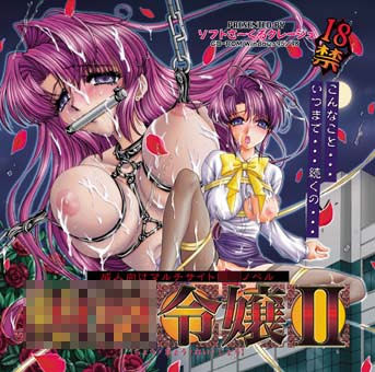 Choukyou Reijou II cover