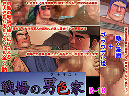 Senjou no Analyst